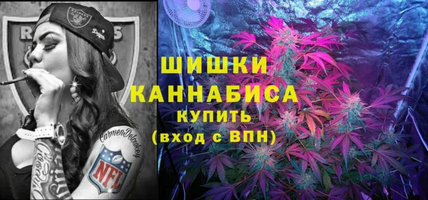прущие грибы Балабаново