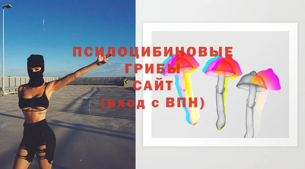 прущие грибы Балабаново