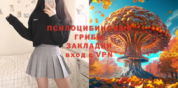 прущие грибы Балабаново