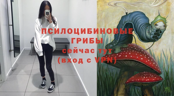 прущие грибы Балабаново