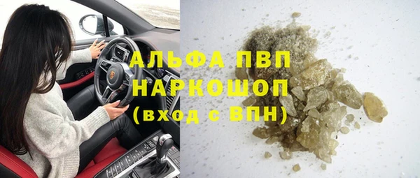 прущие грибы Балабаново