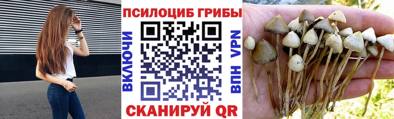 Галлюциногенные грибы Psilocybine cubensis  mega сайт  Реутов 
